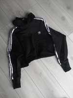 Adidas crop  hoodie