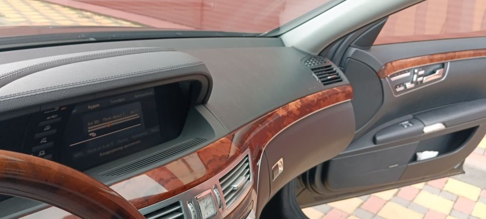 Без жодного підкрасу, один с живих мурчиків на самому правильному двиг