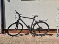 Rower Cube Curve Terra Line