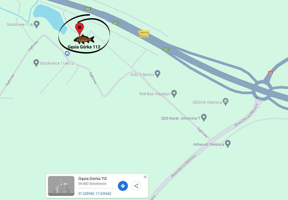 Karp handlowy hurt 15 zł