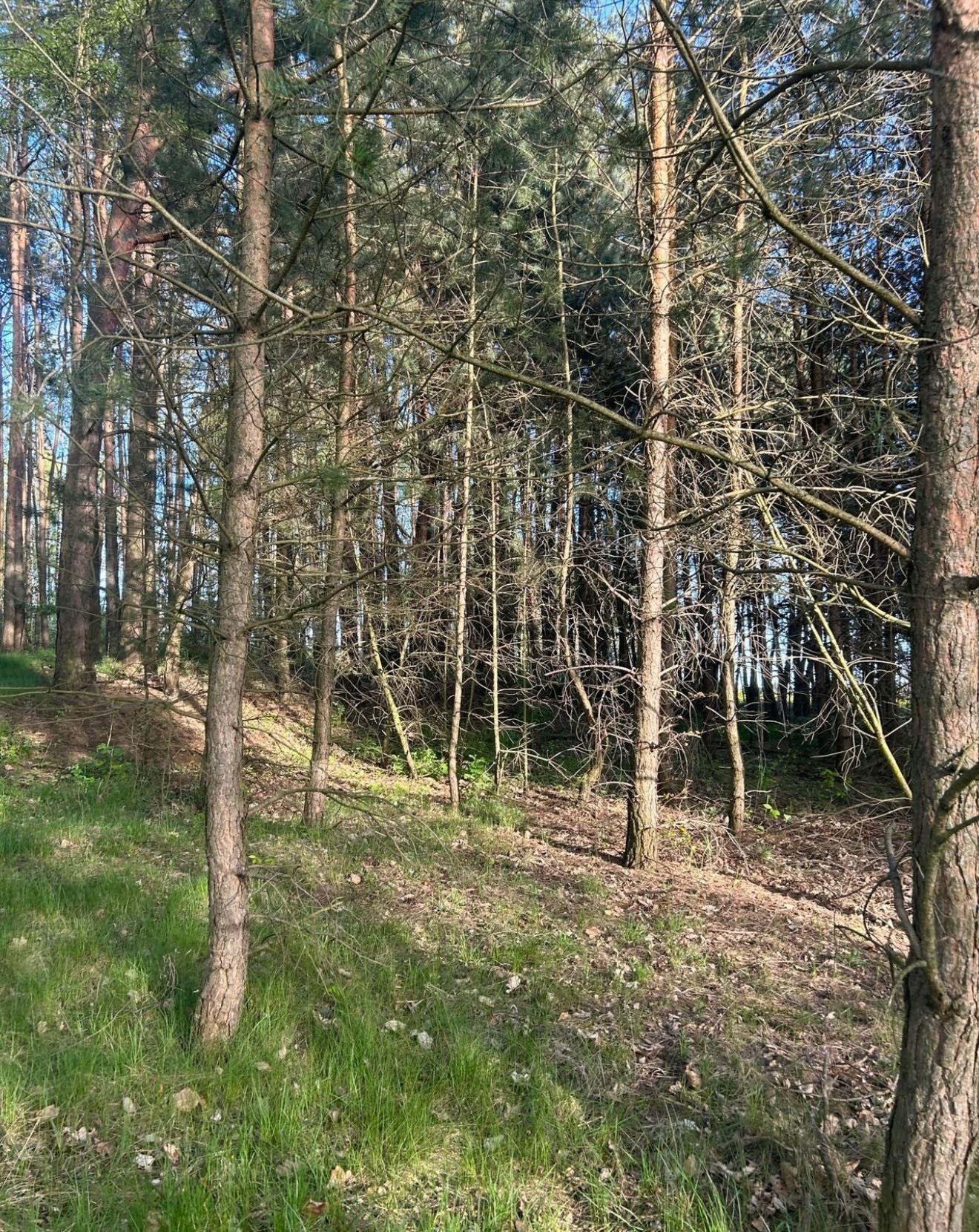 Sprzedam działkę rolną Nowe Wągry
