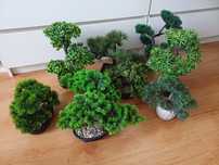 Drzewko bonsai zestaw sztuczne