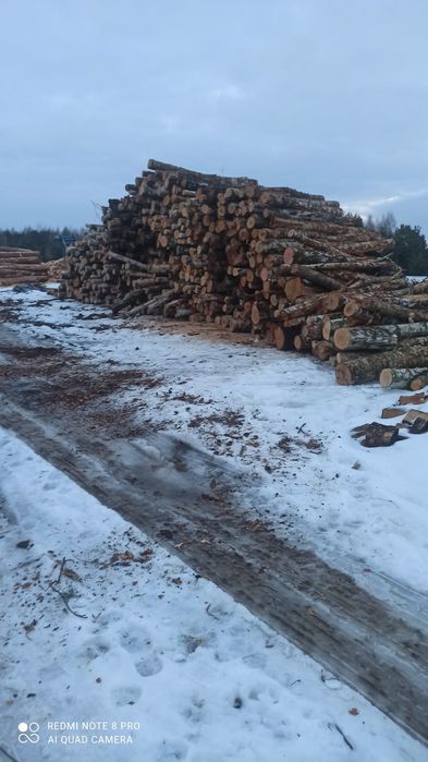 Drewno kominkowe / opałowe dąb brzoza sosna