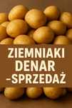 Ziemniaki jadalne Denar - swieże , żółte 15 kg worki
