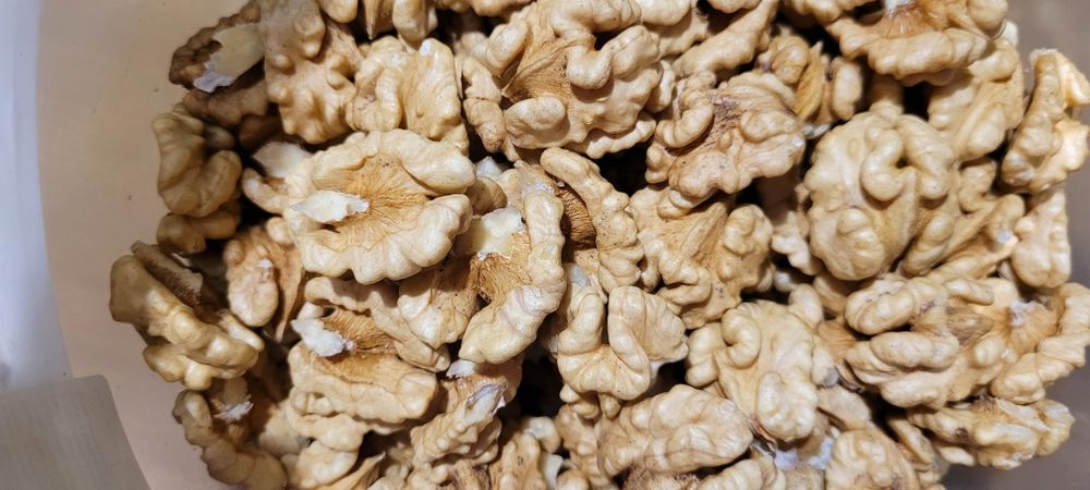 Грецький горіх 2025 року