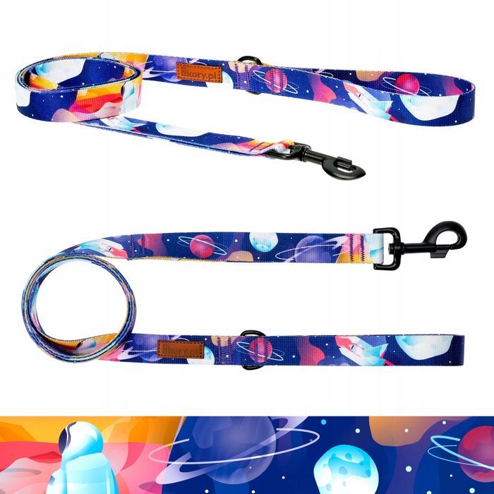 klasyczna smycz dla dużego psa powyżej 20 kg labrador collie seter