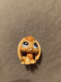 Littlest pet shop królik