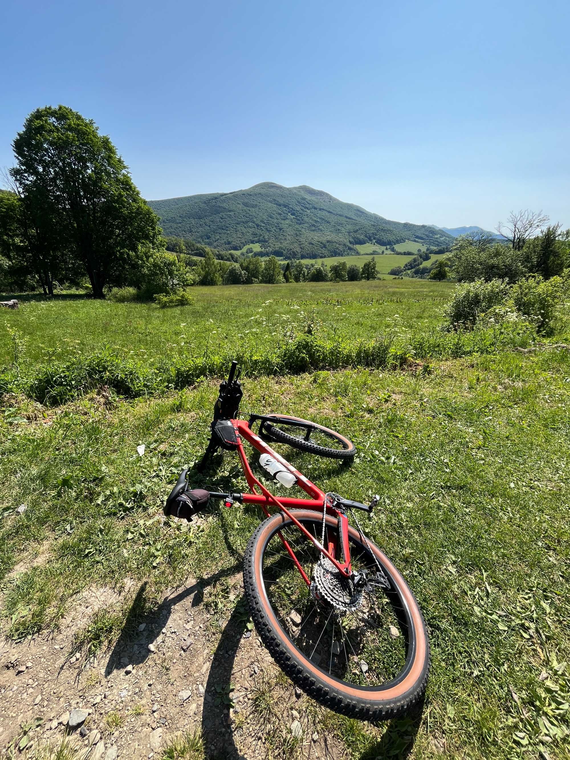 Trek Procaliber 9.5 gen. 3 rocznik 2025