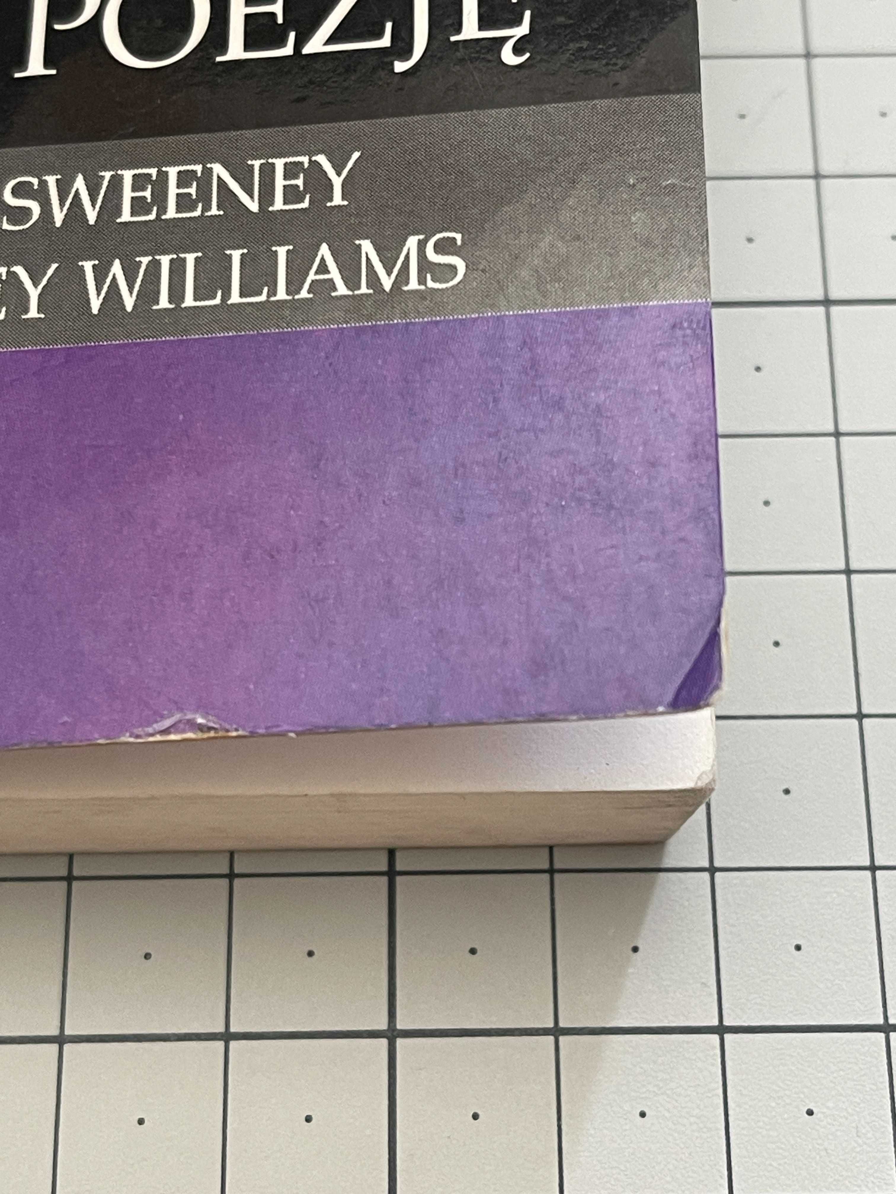 Jak pisać dobra poezję - Matthew Sweeney, John Hartley Williams
