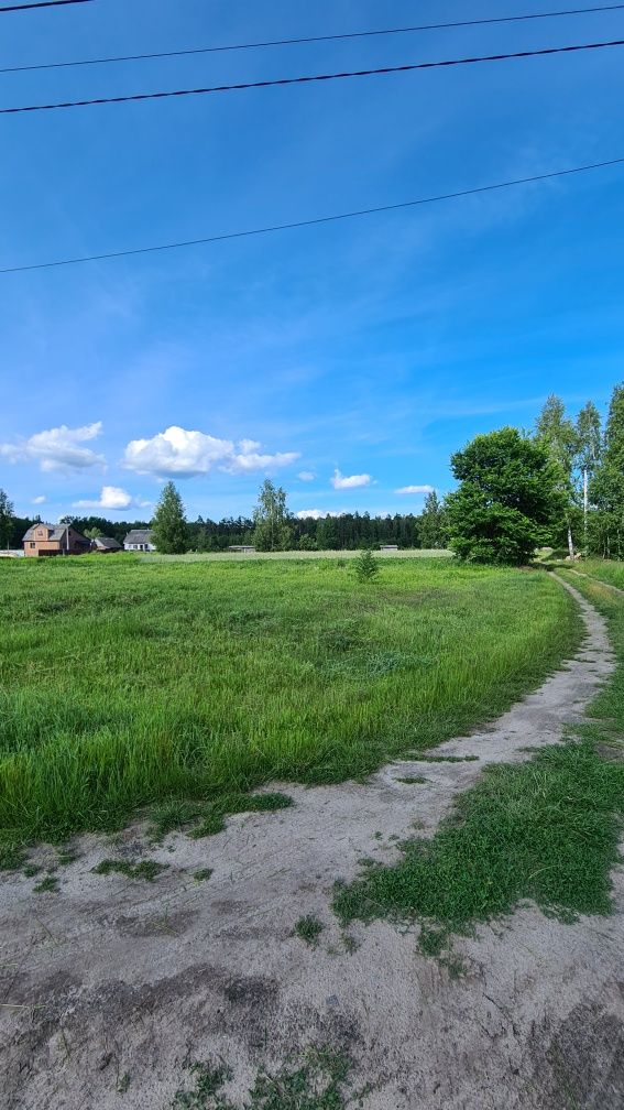 Земельна ділянка в м. Олевськ