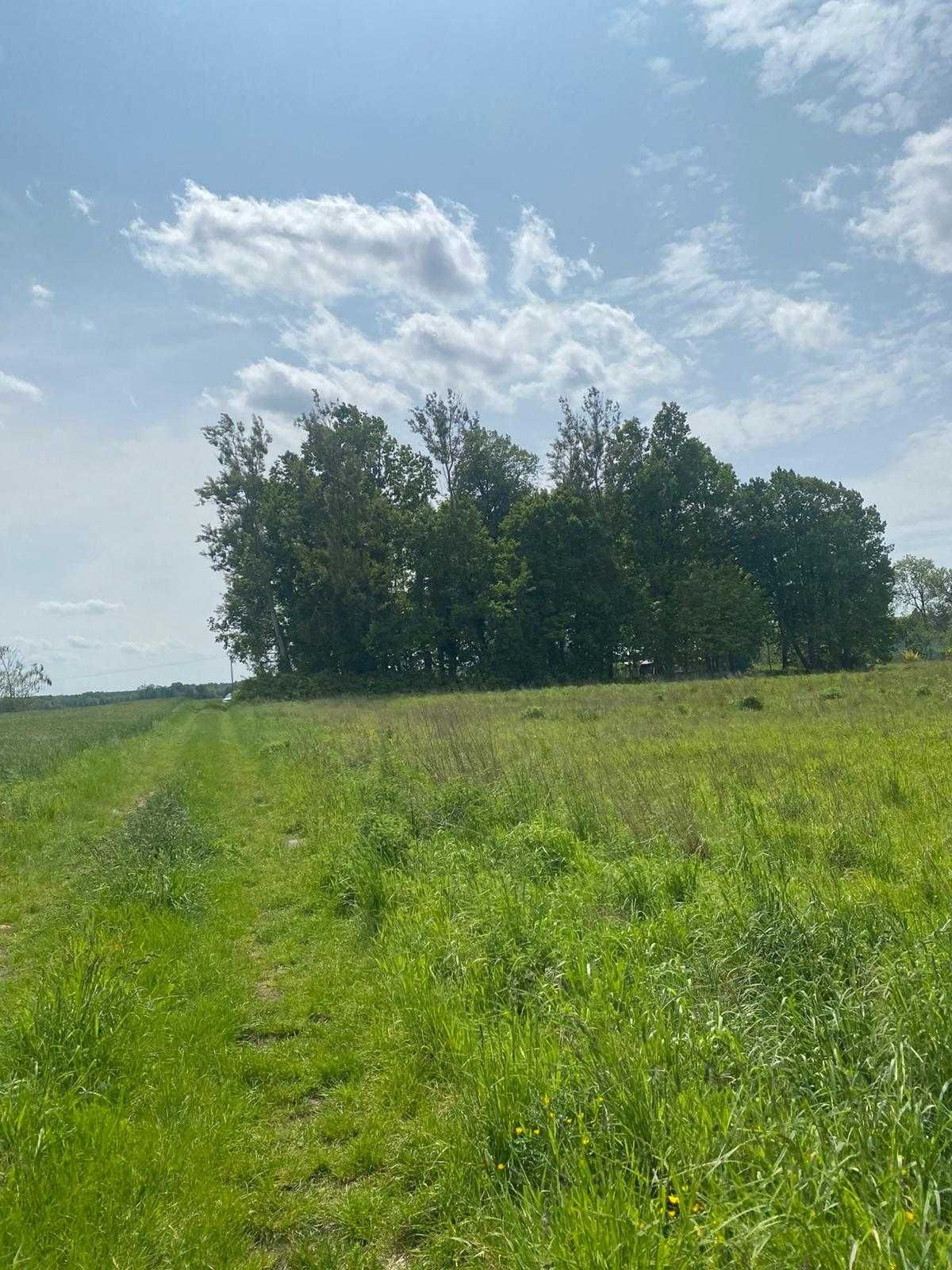 DUZA DZIALKA BUDOWLANA 1831M2 w okolicy jeziora i lasow!