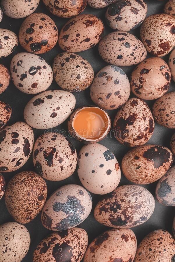 Продам інкубаційні перепелині яйця