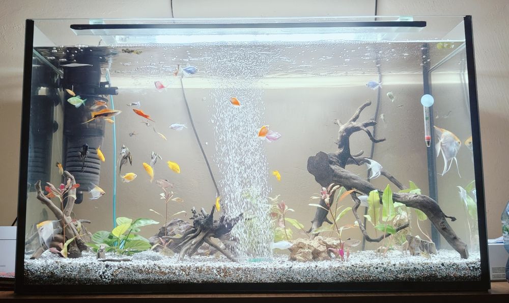 Akwarium do sprzedania 240 L