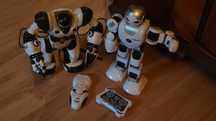 Robot interaktywny sterowany z pilota Fobos cena za 2 szt