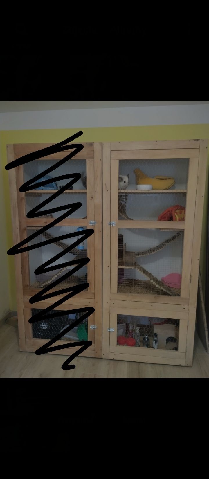 Woliera dla szynszyli