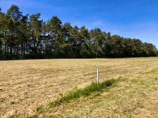 Działka budowlana + las, natura i spokój w pakiecie 50 km od Warszawy