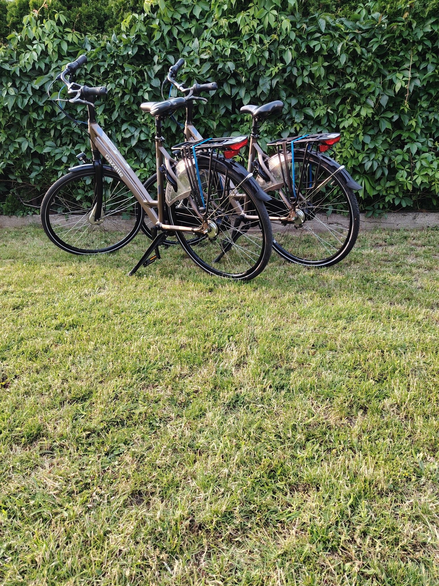 Gazelle Chamonix C7