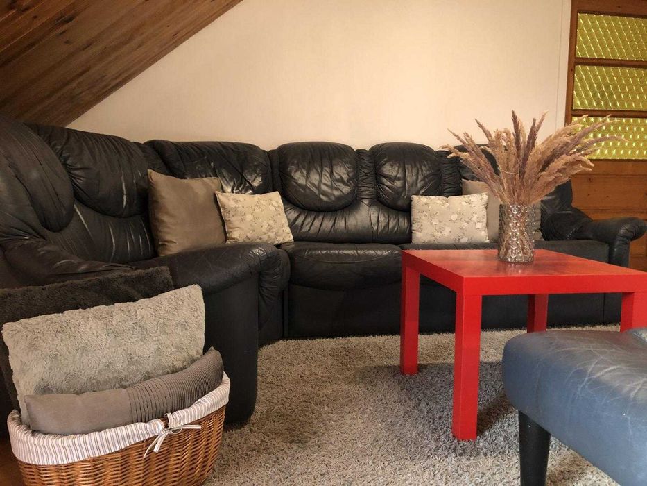 Mieszkanie na wynajem dla singla