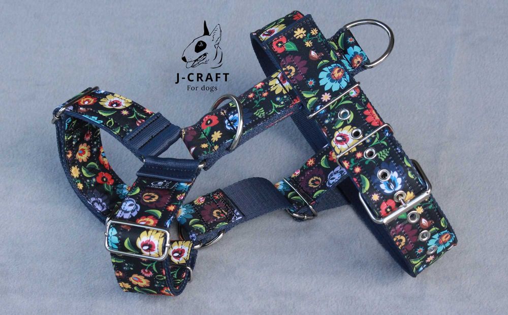 Mocne szelki, obroże i smycze bulterier, pit bull, amstaff - wzory