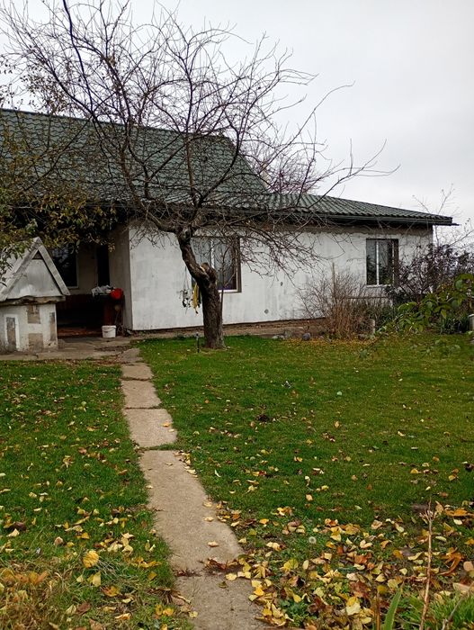 Аренда недвижимости долгосрочная