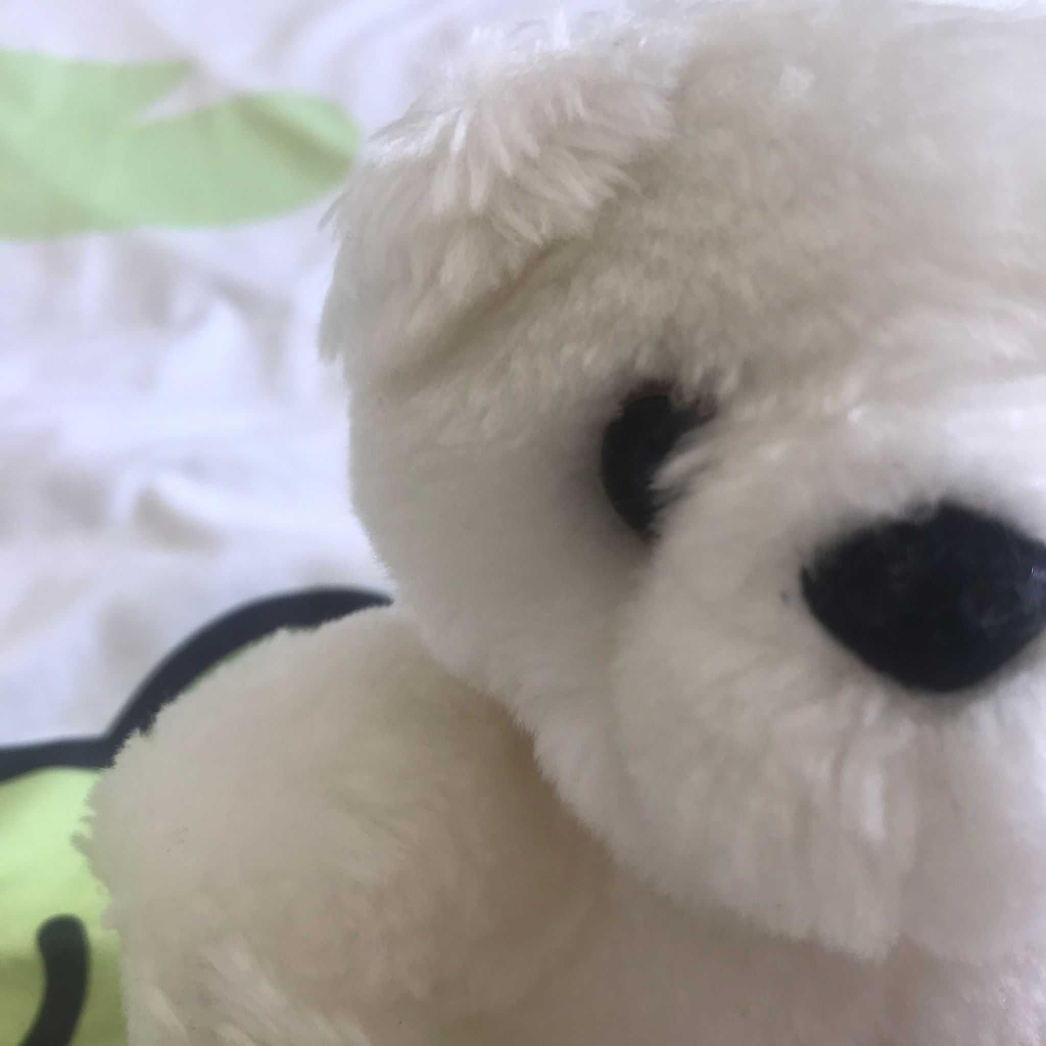 urso de peluche pequeno branco