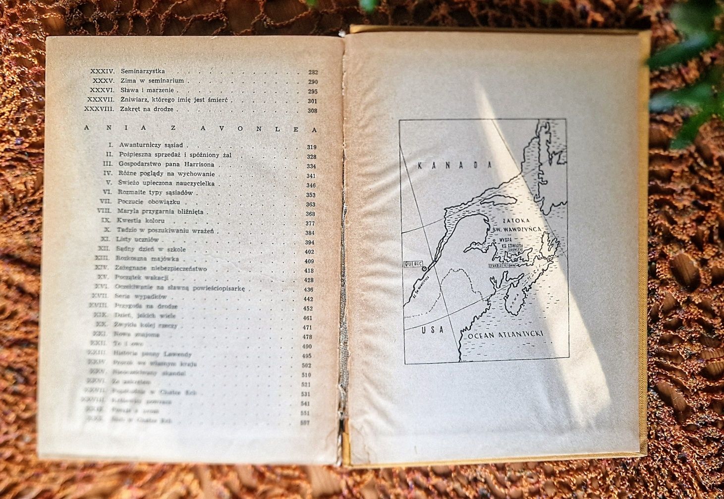 Ania z Zielonego Wzgórza i Ania z Avonlea - Lucy Maud Montgomery
