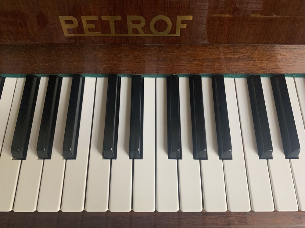 Піаніно/фортепіано Petrof - Piano Petrof