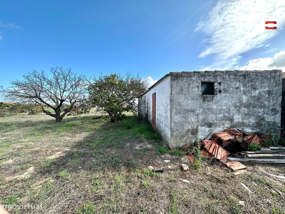 Terreno para Cultura Arvense, vinhas e damasqueiros com Anexo de 30m2