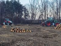 Mulczer leśny | Wycinka drzew | Mulczowanie | Karczowanie