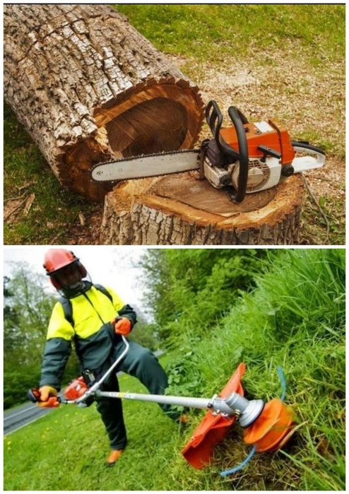 Зрізка дерев. Прибирання листя. Косіння трави, бур'янів, газонів.  ДЕШ