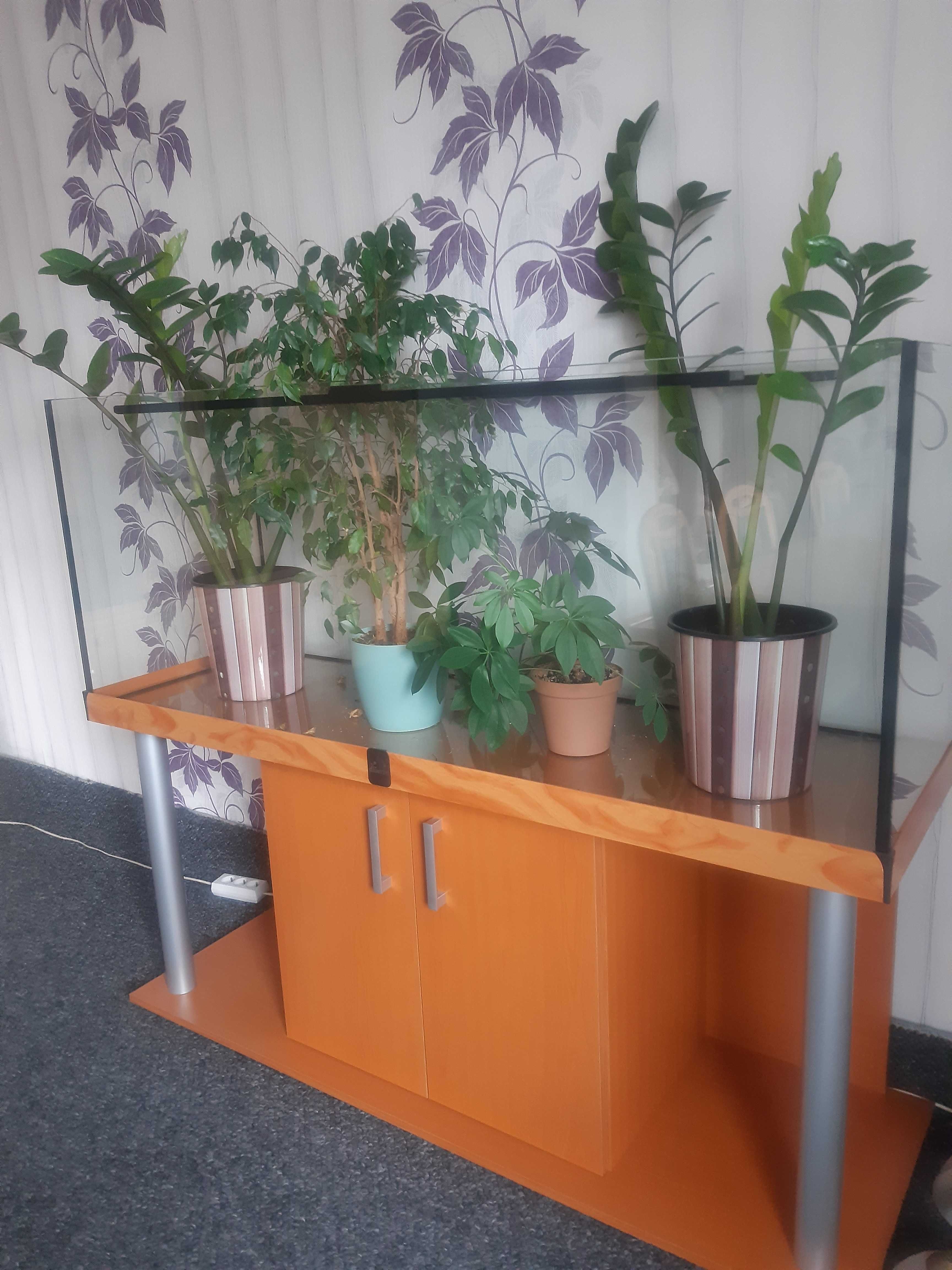 Nowe akwarium 450 l z szafką