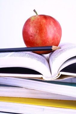 Język polski korepetycje matura, EGZAMIN ÓSMOKLASISTY EGZAMINATORKA