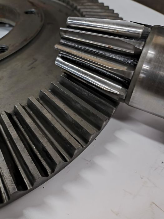 Koła zębate Oryginał Nr: 162117 zgrabiarka FELLA TS 425DN,455,800,1601