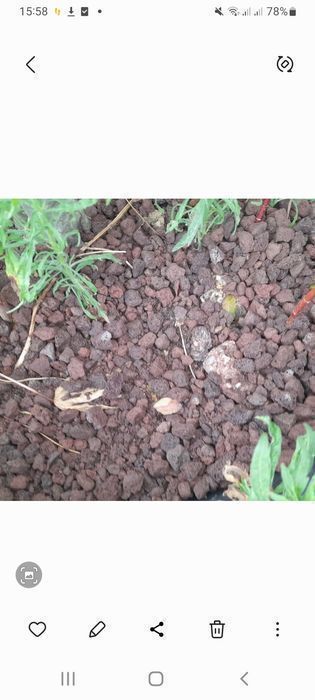 Rocha vulcanica 15 kg  vendo ou troco