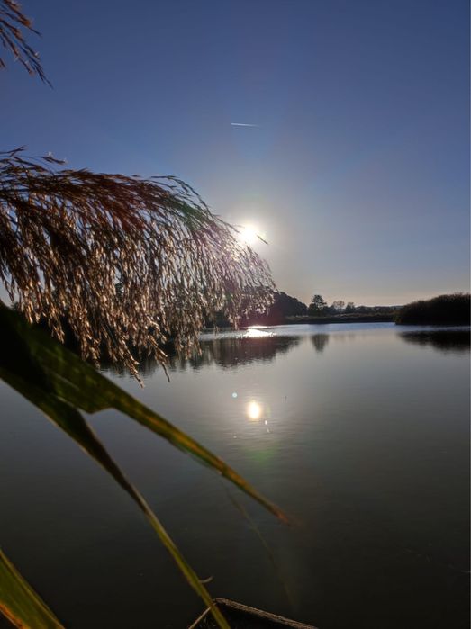 Stawy Hodowlane 50 ha - ogrodzone