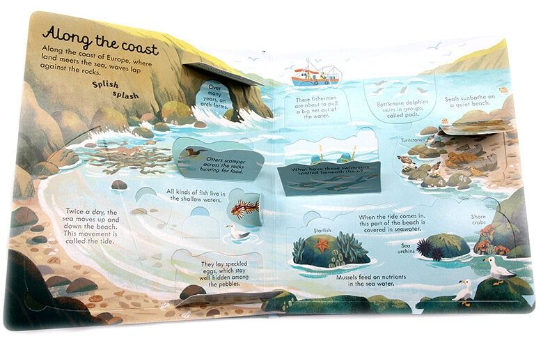 Seas and Oceans Usborne Look Inside z okienkami po angielsku