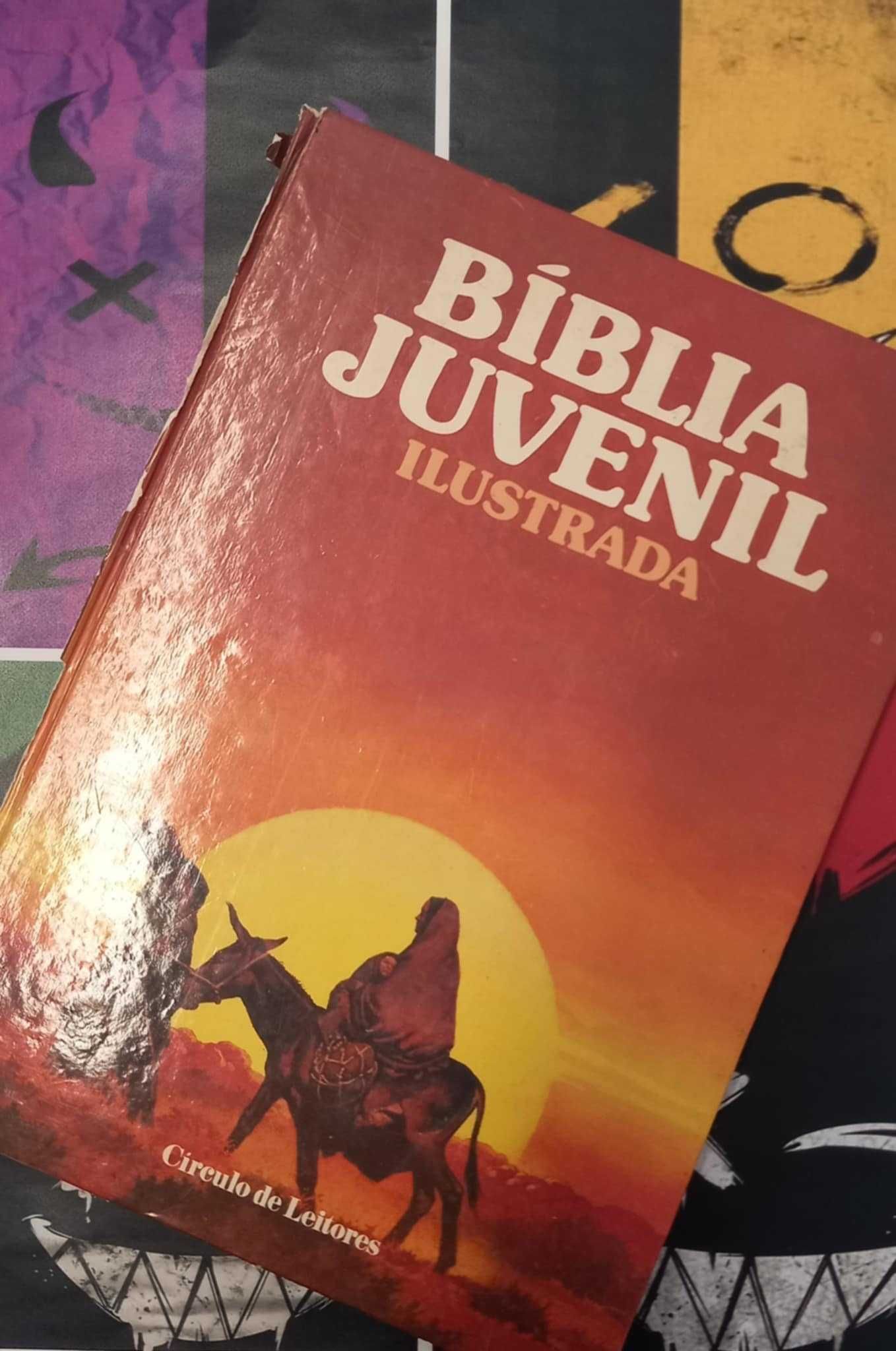 Livro Bíblia Juvenil Ilustrada 
 (Danificada na lombada)