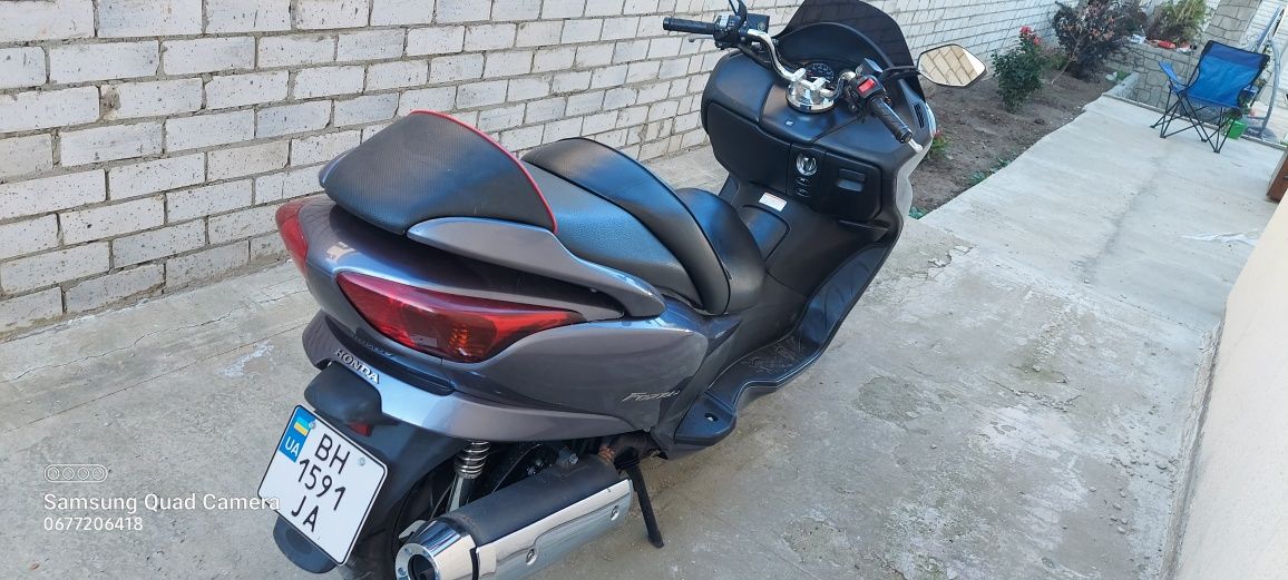 Продам Honda Forza MF08