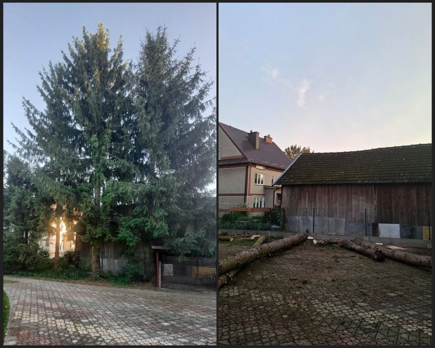 Usługi rębakiem do gałęzi, wycinka drzew, karczowanie działek