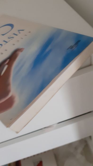 Visto do Céu de Alice Sebold