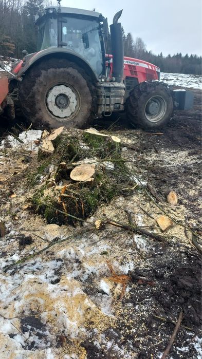 Mulczer wglebny frez wglebny mulczowanie karczowanie samosiejki