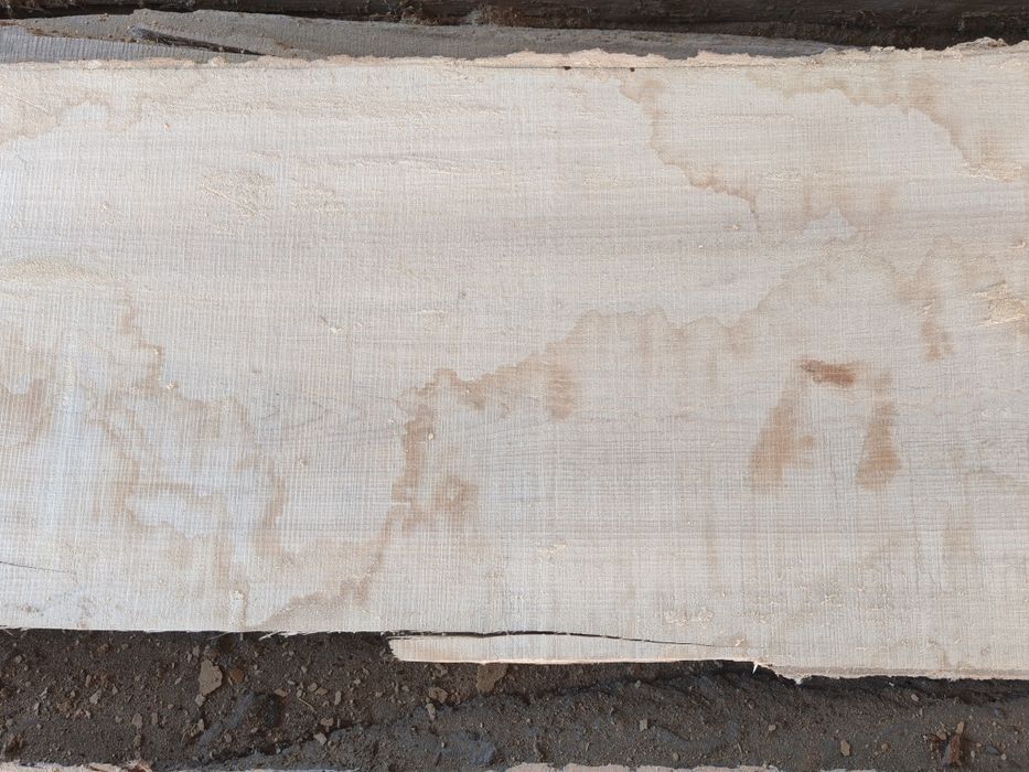 Столярна необрізна дошка ясень,клен,дуб червоний