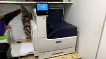 Impressora a laser A3 - Xerox VersaLink C7000