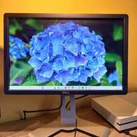 Monitor Dell P1913