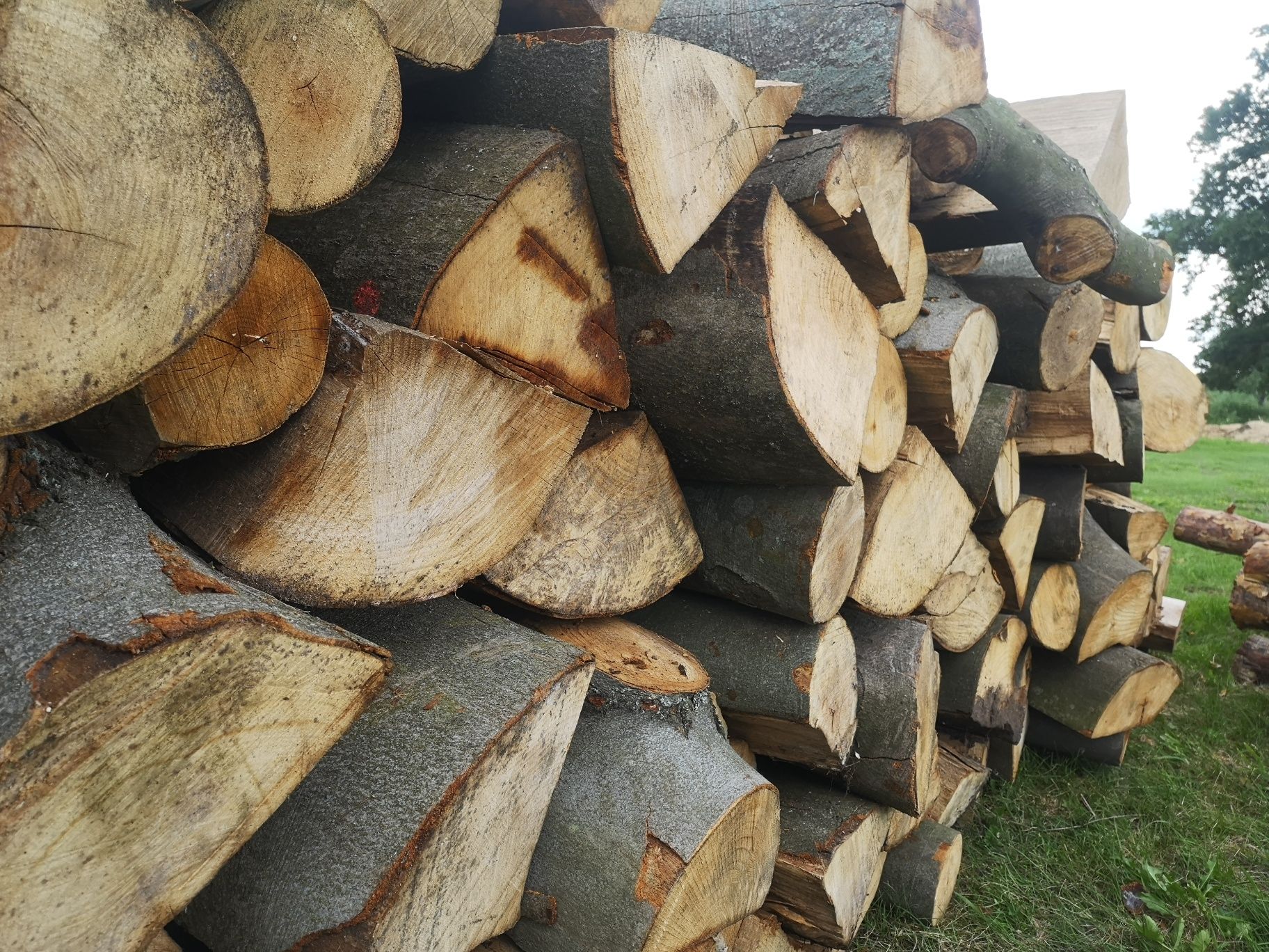 Drewno Opałowe suche sezon okazja ł