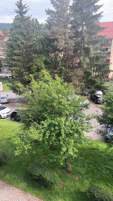 Mieszkanie do wynajęcia
