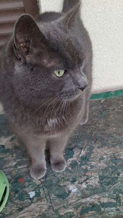 Kto widział Florka?