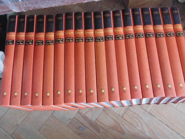 Dicionário Houaissis