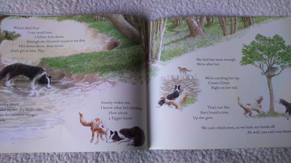 Книга для дітей англійською Це собаче життя  It's a Dog's Life