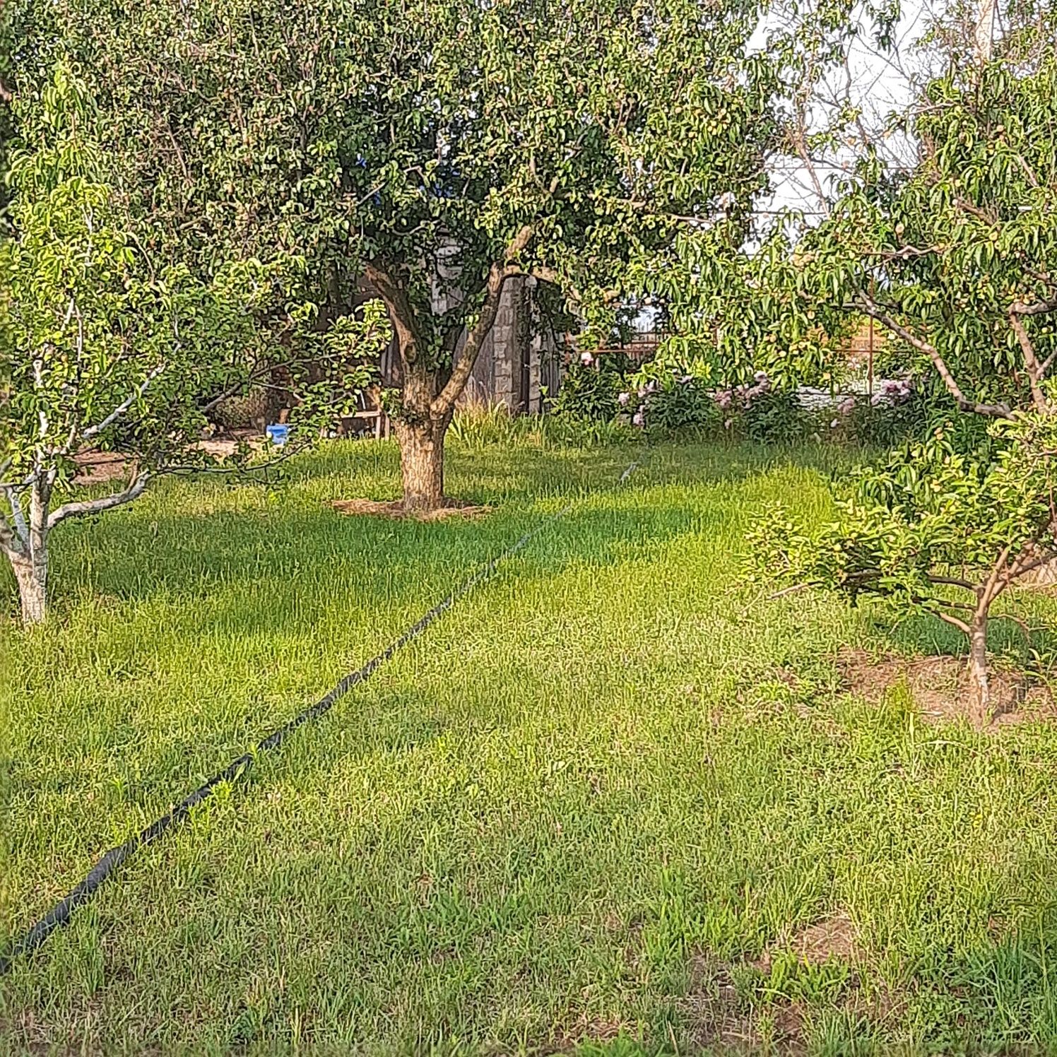 Продається дача с Лупарево